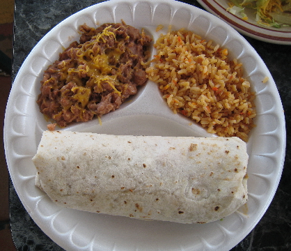 A burrito stuffed with chicken.