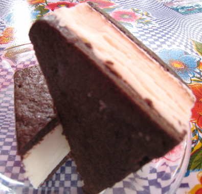 Homemade vanilla ice cream sandwich