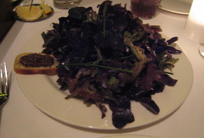 baby red oak leaf with black olive blood orange citronette