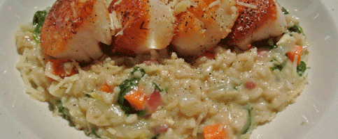 Terra Bistro Italiano – Albuquerque, New Mexico (CLOSED)