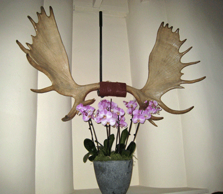 Geronimo – Santa Fe, New Mexico