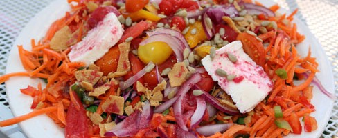 Desert Grows – Los Ranchos de Albuquerque, New Mexico (CLOSED)